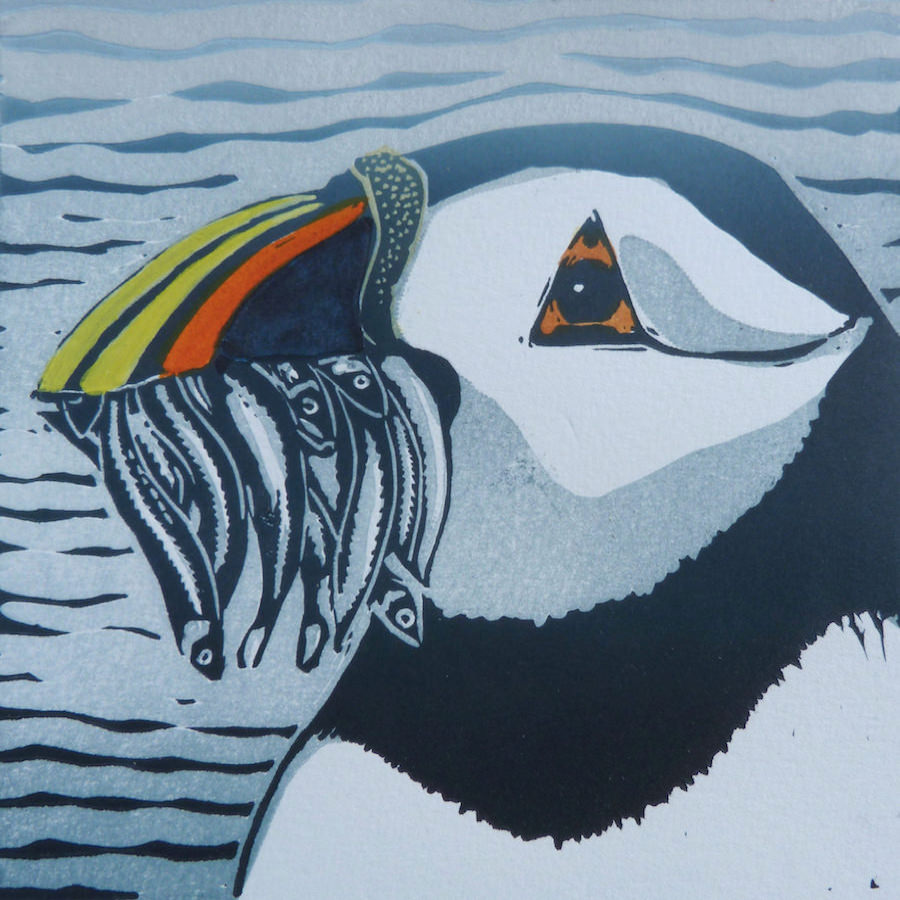 Puffin © Louise Scammell 2015