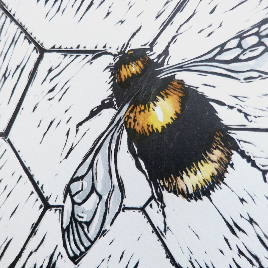 Bee © Louise Scammell 2015