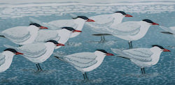 The Tide Terns
